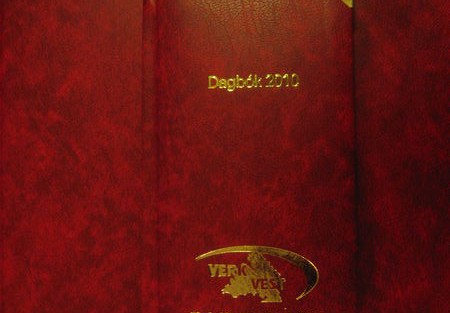 DAGBÓKIN 2010