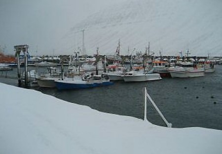 Mikil vonbrigði - Öll félög smábátaútgerðar hafna kjarasamningi